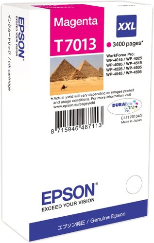 Epson C13T70134010