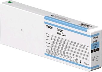 Epson C13T804500